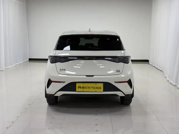 BYD Dolphin 2025 Model Smart Driving Edition 420KM Free Edition – фото 6