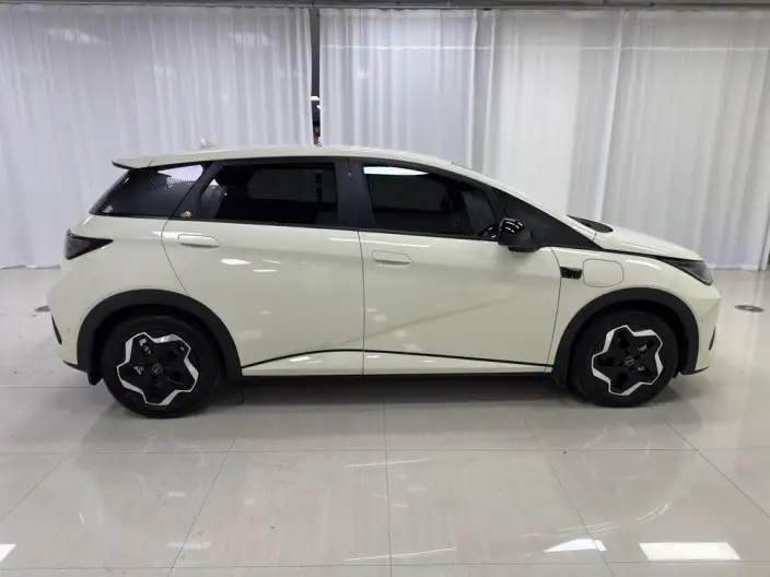 BYD Dolphin 2025 Model Smart Driving Edition 420KM Free Edition – фото 8