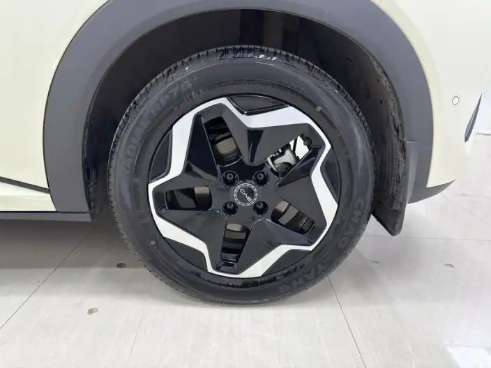 BYD Dolphin 2025 Model Smart Driving Edition 420KM Free Edition – фото 9