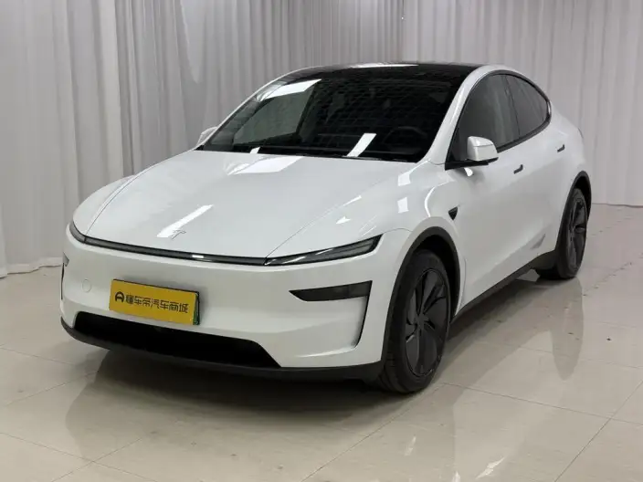 Model Y 2025 Model Rear-wheel drive version – фото 1