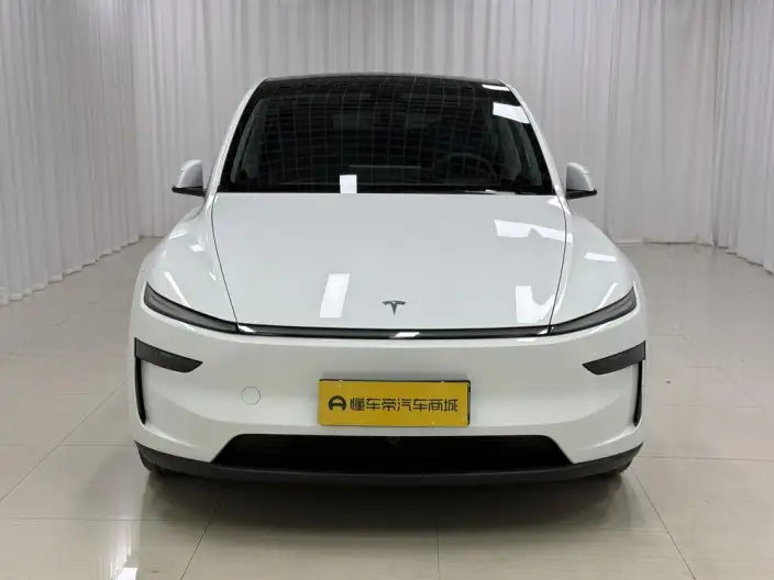 Model Y 2025 Model Rear-wheel drive version – фото 2