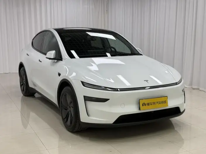 Model Y 2025 Model Rear-wheel drive version – фото 3