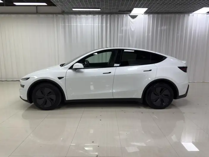 Model Y 2025 Model Rear-wheel drive version – фото 4