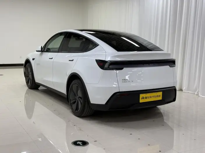 Model Y 2025 Model Rear-wheel drive version – фото 5