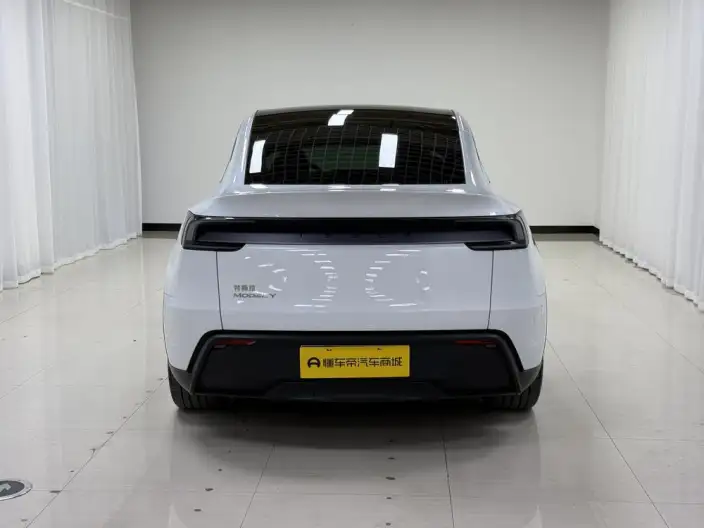 Model Y 2025 Model Rear-wheel drive version – фото 6