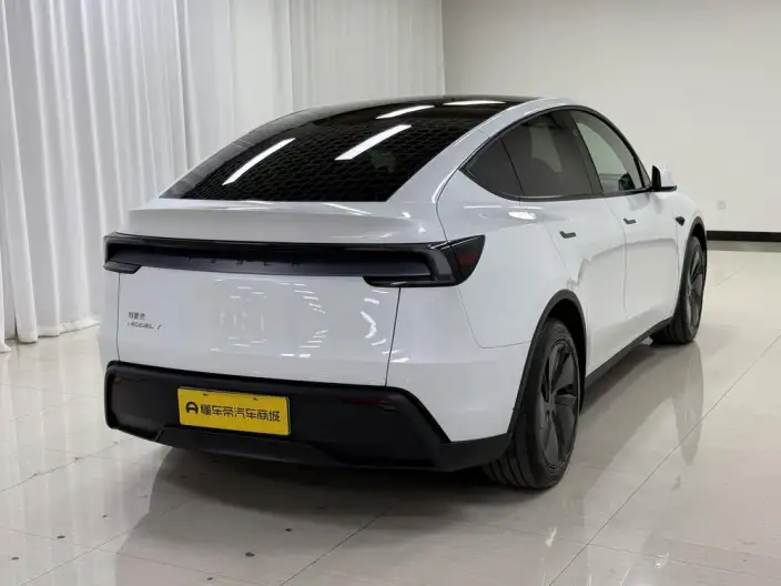 Model Y 2025 Model Rear-wheel drive version – фото 7