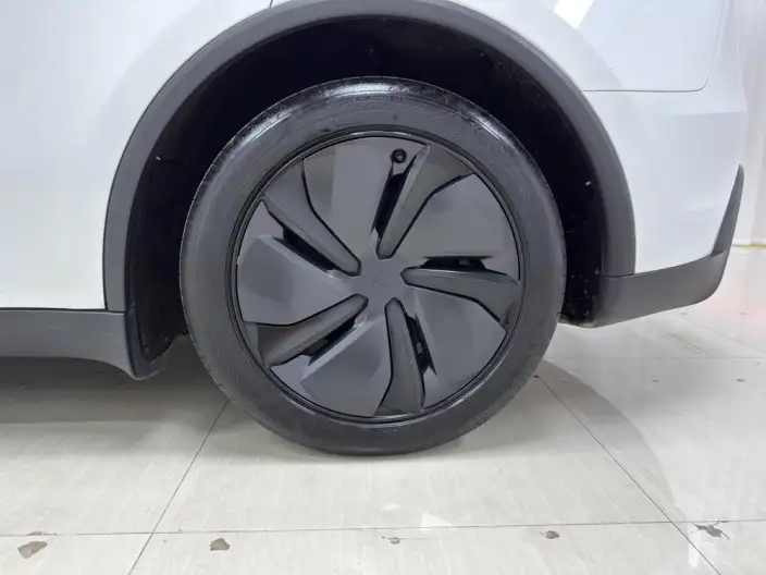 Model Y 2025 Model Rear-wheel drive version – фото 9