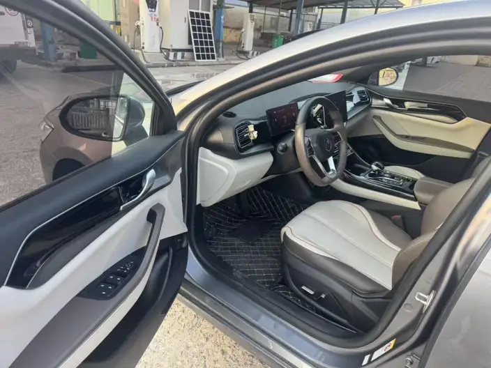 BYD Qin PLUS DM 2021 Model DM-i 55KM Executive Edition – фото 8