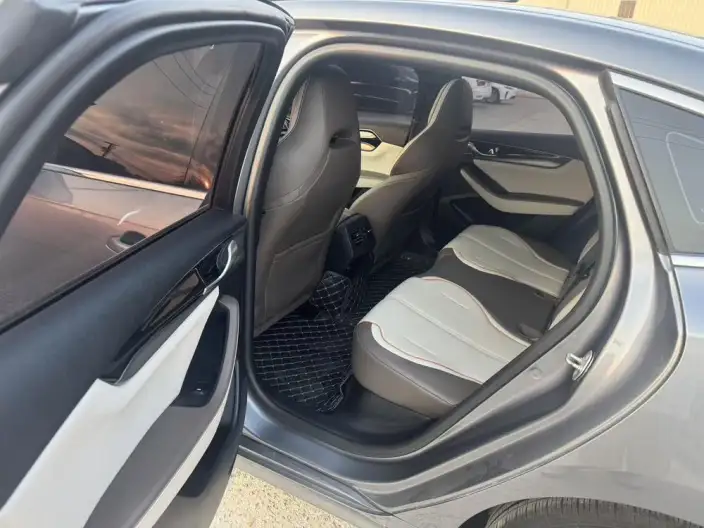 BYD Qin PLUS DM 2021 Model DM-i 55KM Executive Edition – фото 9
