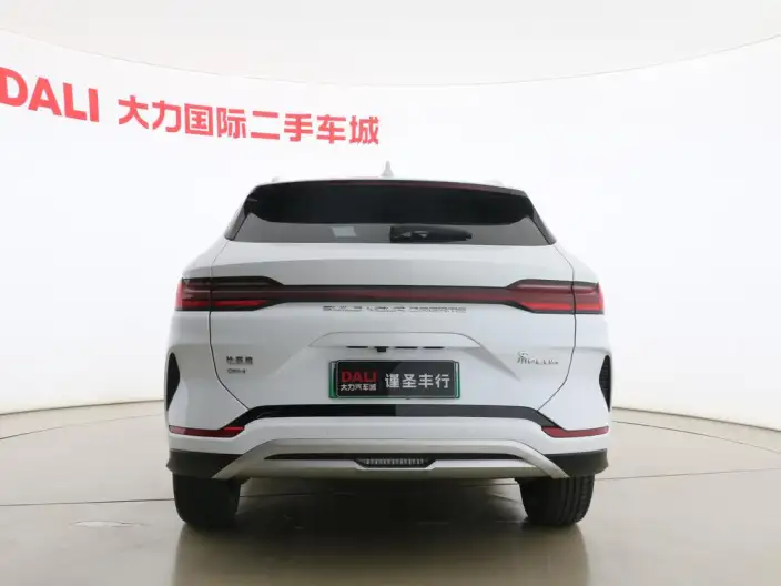 BYD Song PLUS DM 2023 Model DM-i Champion Edition 110KM Flagship Model – фото 6