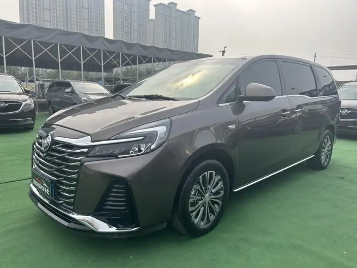 Buick GL8 2023 Model Business class 2.0T Luxury Model