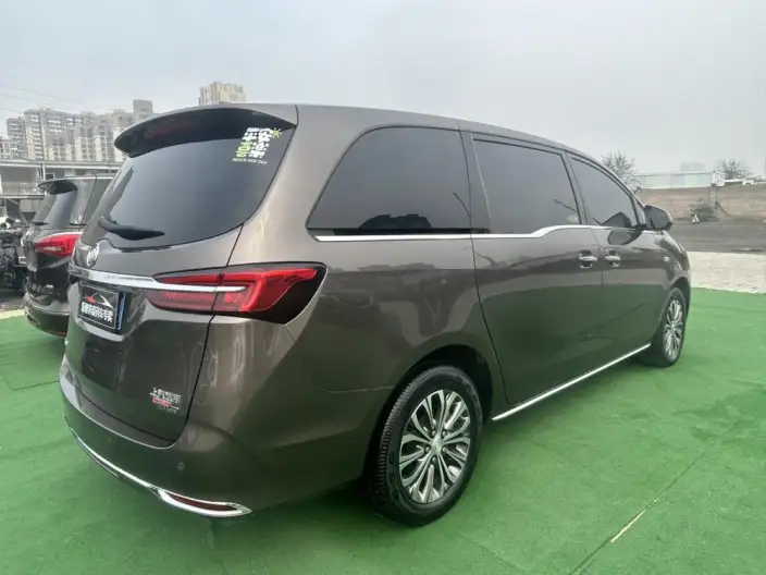 Buick GL8 2023 Model Business class 2.0T Luxury Model – фото 6