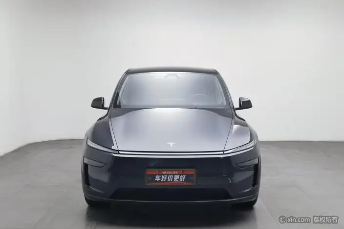 Model Y 2025 Model Rear-wheel drive version – фото 2