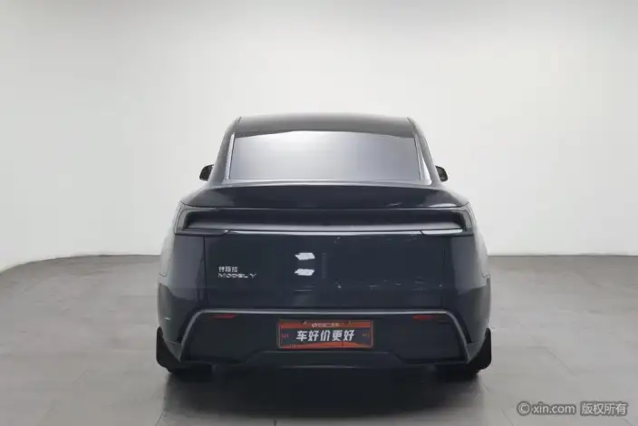 Model Y 2025 Model Rear-wheel drive version – фото 3