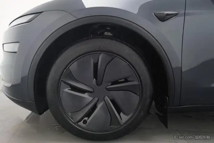 Model Y 2025 Model Rear-wheel drive version – фото 10