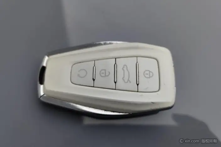 Geely StarRui 2023 Model 2.0T Noble Model – фото 6