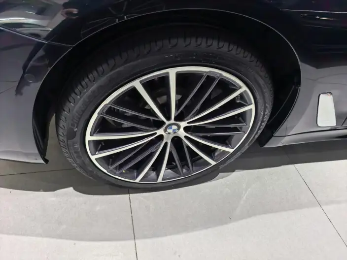 BMW 5 Series 2022 Model 530Li Leading Model M Sports Set – фото 7