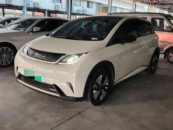 BYD Dolphin 2023 Model Free Edition – фото 1