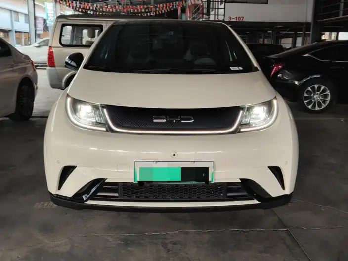 BYD Dolphin 2023 Model Free Edition – фото 2