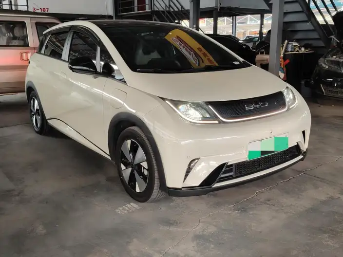 BYD Dolphin 2023 Model Free Edition – фото 3