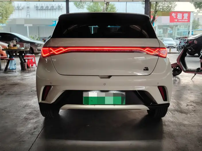 BYD Dolphin 2023 Model Free Edition – фото 5