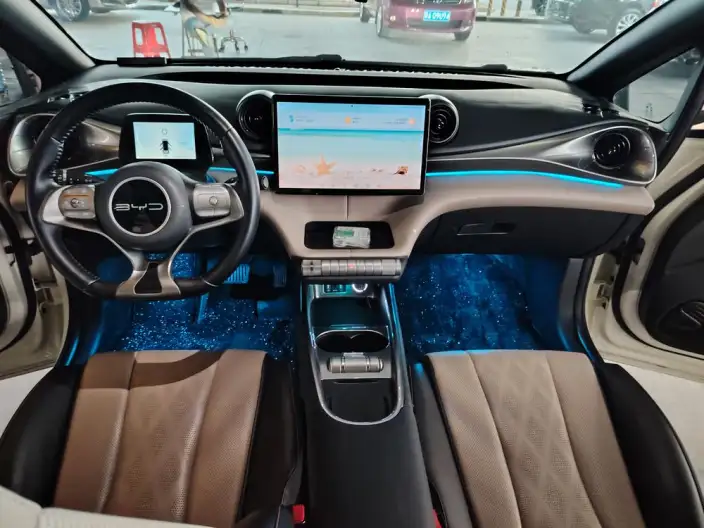 BYD Dolphin 2023 Model Free Edition – фото 8