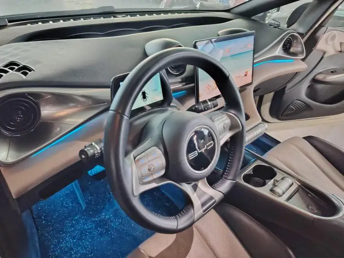 BYD Dolphin 2023 Model Free Edition – фото 10