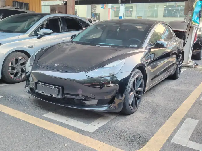 Model 3 2022 Model Rear-wheel drive version – фото 1