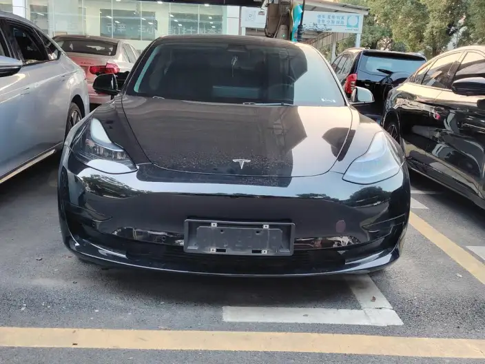 Model 3 2022 Model Rear-wheel drive version – фото 2