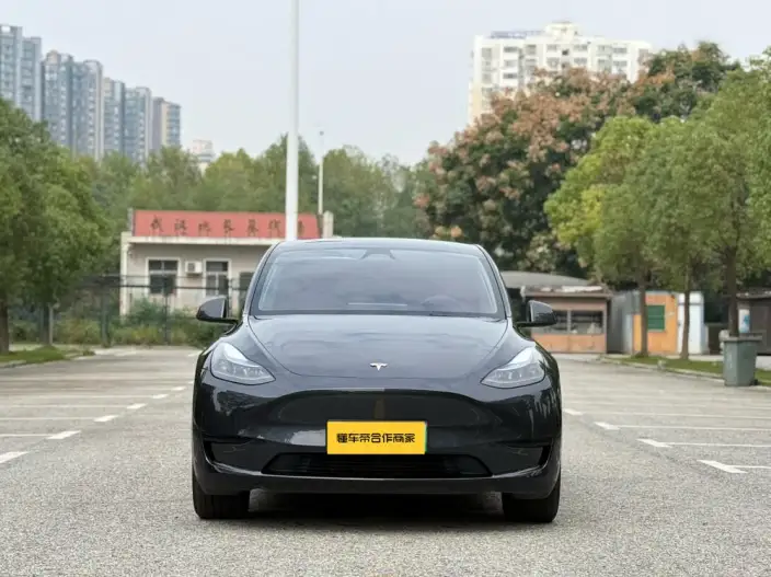 Model Y 2024 Model Rear-wheel drive version – фото 2