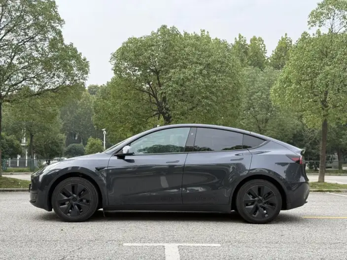 Model Y 2024 Model Rear-wheel drive version – фото 4