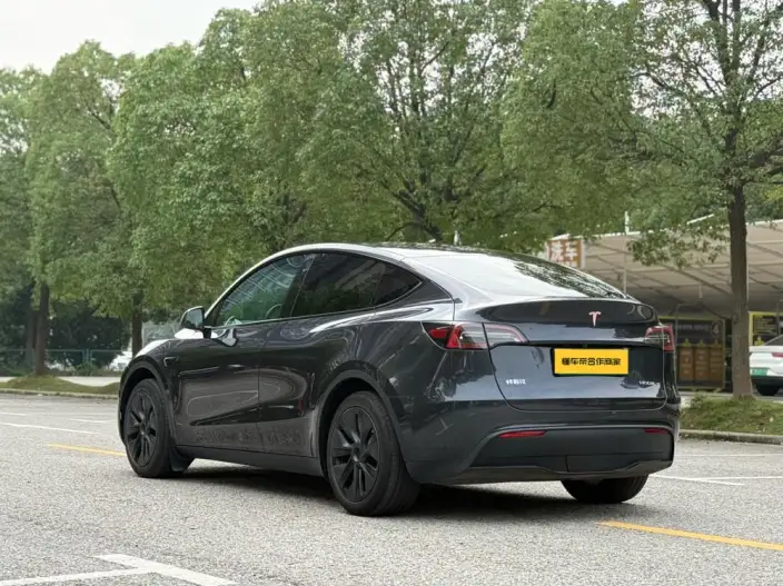 Model Y 2024 Model Rear-wheel drive version – фото 5