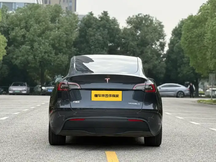 Model Y 2024 Model Rear-wheel drive version – фото 6