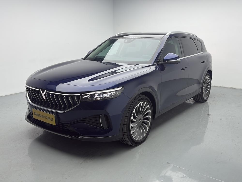 VOYAH FREE 2021 AWD Standard Extended-Range Exclusive Luxury Pack – фото 1