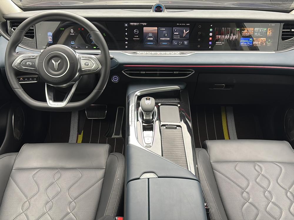 VOYAH FREE 2021 AWD Standard Extended-Range Exclusive Luxury Pack – фото 14