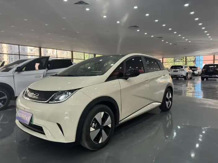 BYD Dolphin 2023 Model Fashion Edition – фото 1