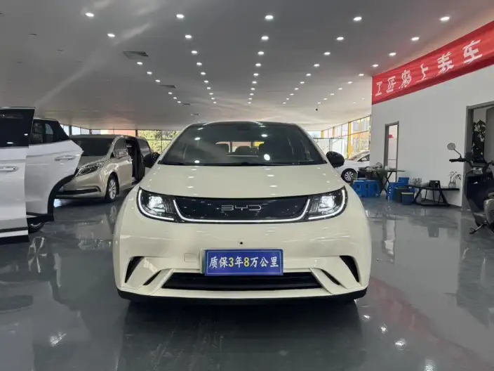 BYD Dolphin 2023 Model Fashion Edition – фото 2