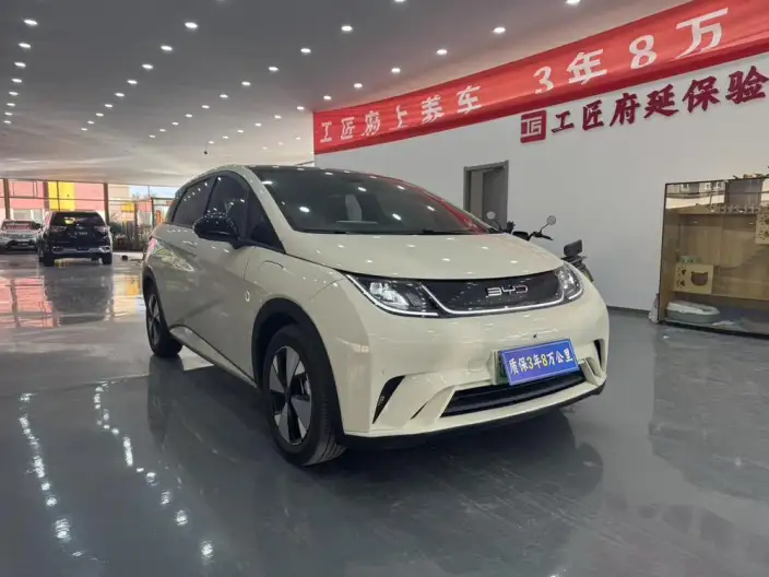 BYD Dolphin 2023 Model Fashion Edition – фото 3