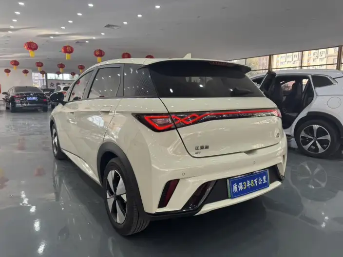 BYD Dolphin 2023 Model Fashion Edition – фото 4