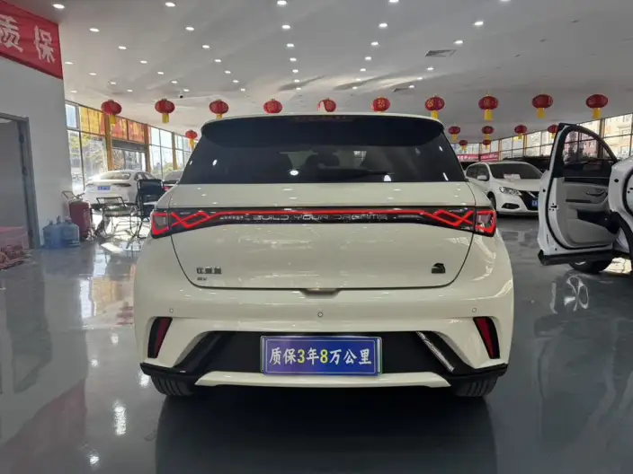 BYD Dolphin 2023 Model Fashion Edition – фото 5