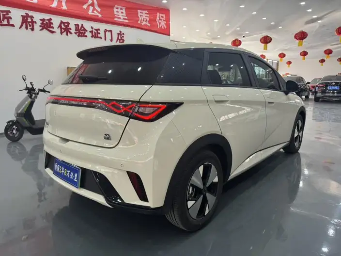 BYD Dolphin 2023 Model Fashion Edition – фото 6