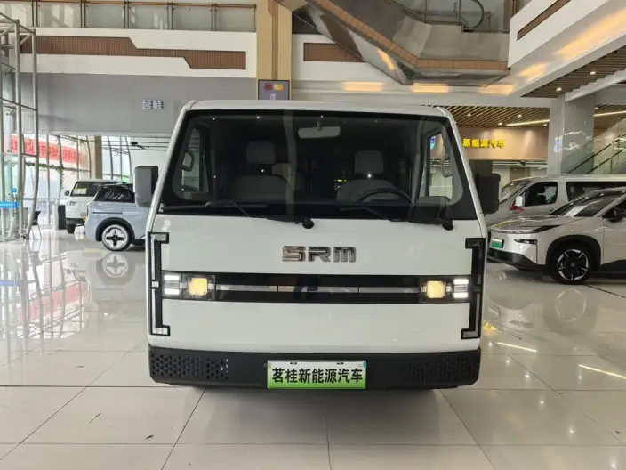 Shineray E3L 2024 Model Standard Model 6 seat Passenger car – фото 6