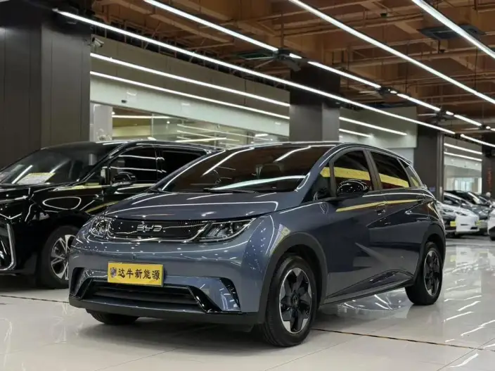 BYD Dolphin 2025 Model 420KM Free Edition – фото 1