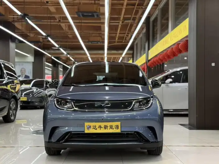 BYD Dolphin 2025 Model 420KM Free Edition – фото 2