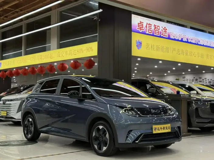 BYD Dolphin 2025 Model 420KM Free Edition – фото 3