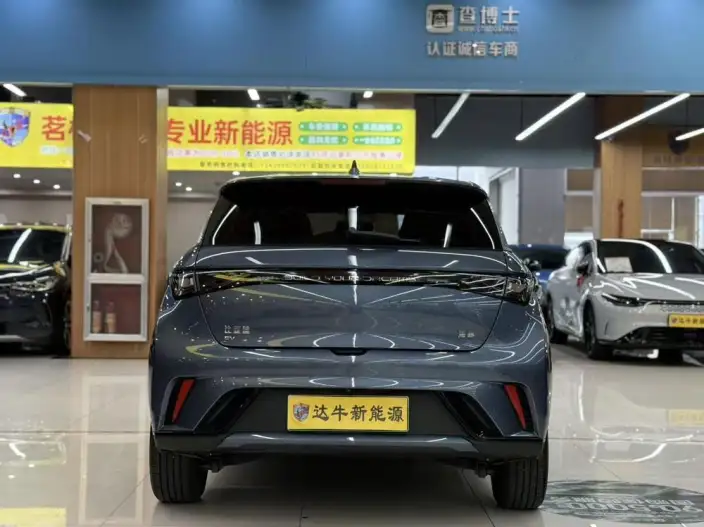 BYD Dolphin 2025 Model 420KM Free Edition – фото 5