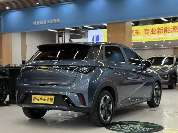 BYD Dolphin 2025 Model 420KM Free Edition – фото 6