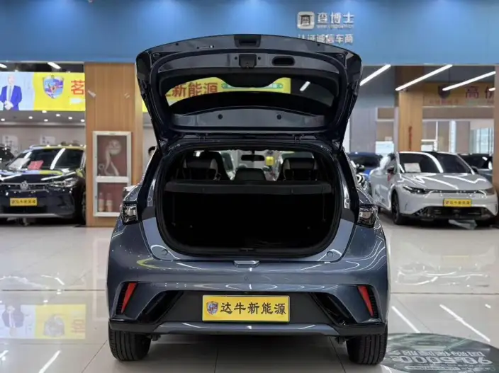 BYD Dolphin 2025 Model 420KM Free Edition – фото 7