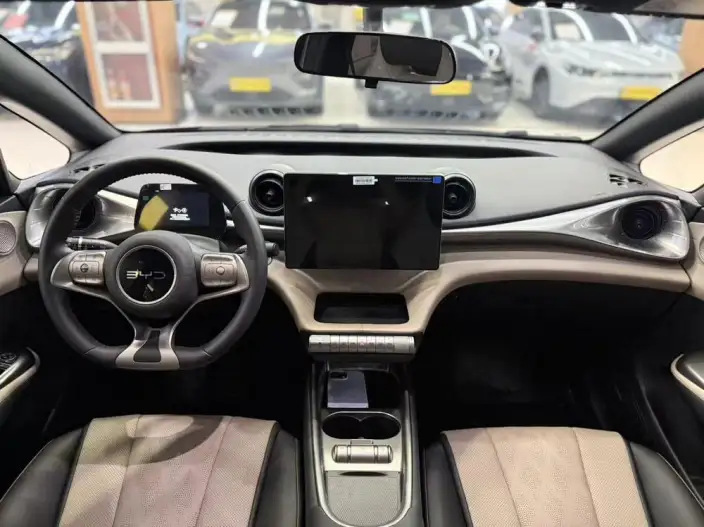 BYD Dolphin 2025 Model 420KM Free Edition – фото 8