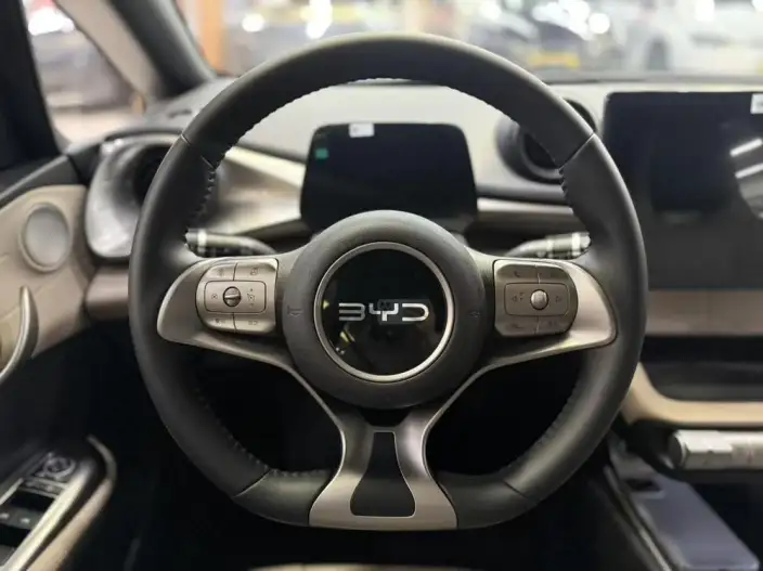 BYD Dolphin 2025 Model 420KM Free Edition – фото 9